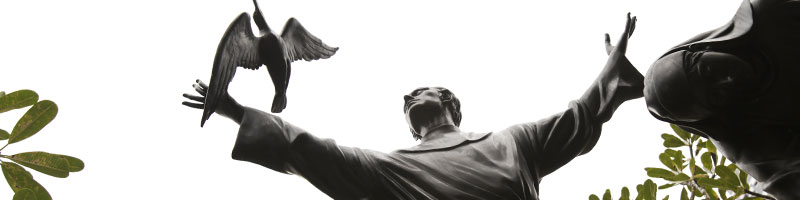 Banner-about-beginnings