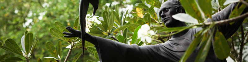 Banner-about-francis