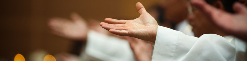 Banner-contactus