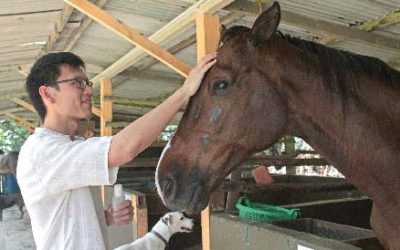 Franciscan Friars Bless Animals In Relocated Sanctuary In Johor Bahru