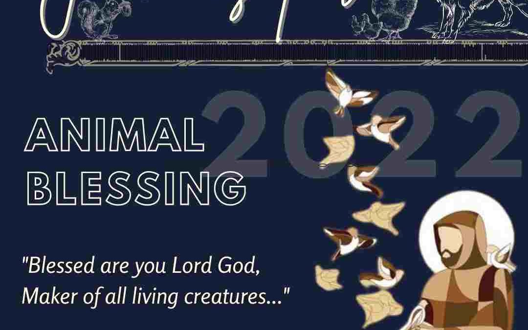 Franciscan Animal Blessing 2022
