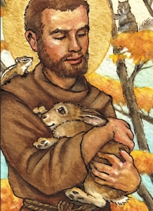 Brother Francis and Brother Rabbit - Franciscan Friars - Custody of St ...