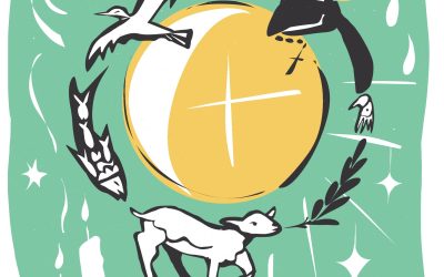 Drawing inspiration from the way St Francis lived his life