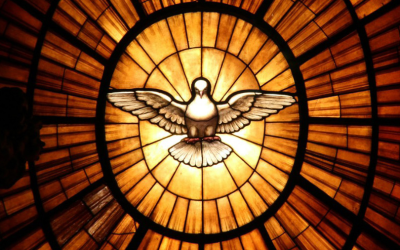 St Francis and the Holy Spirit